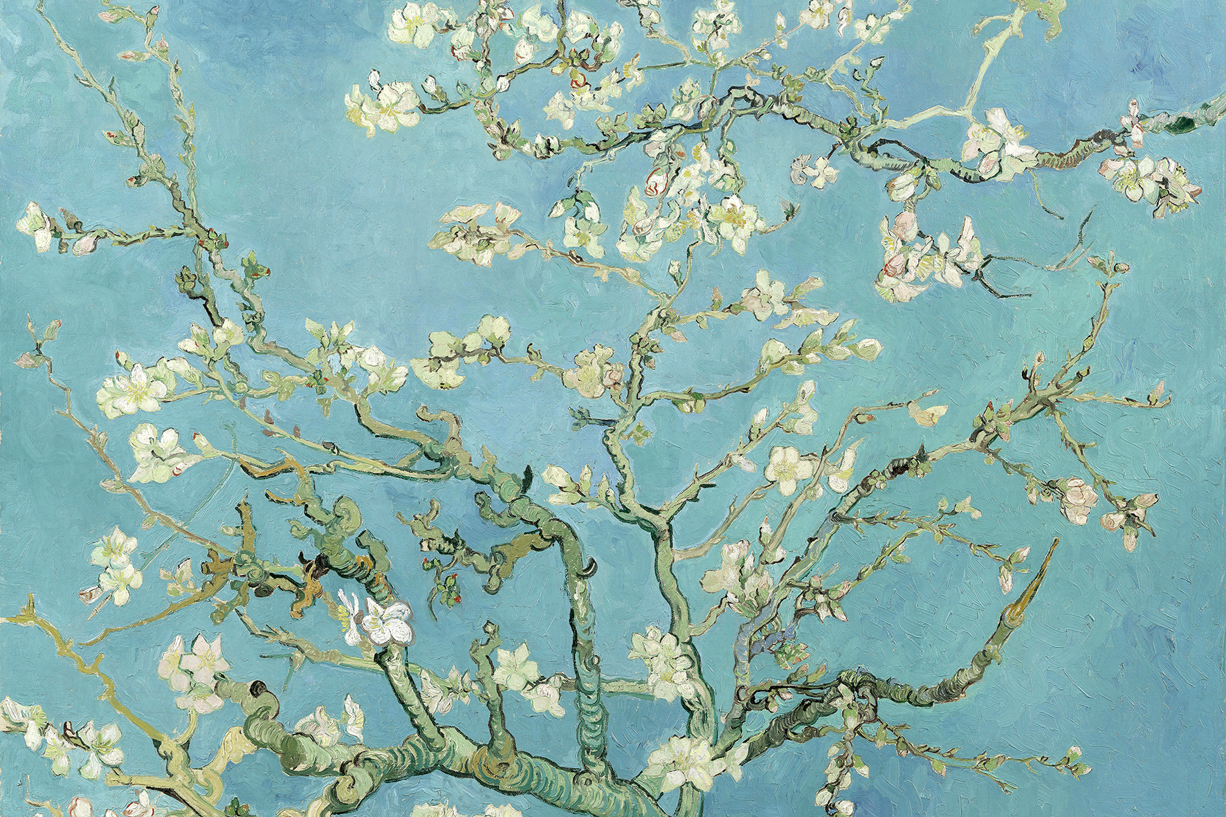 Ван Гог "Цветущие ветви миндаля"