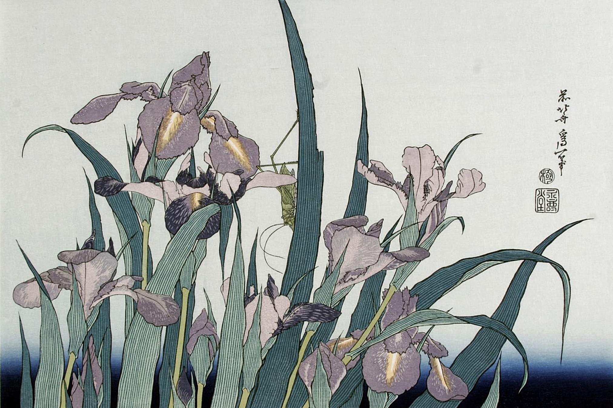 Кацусика Хокусай "Ирисы и луговая цикада", 1832