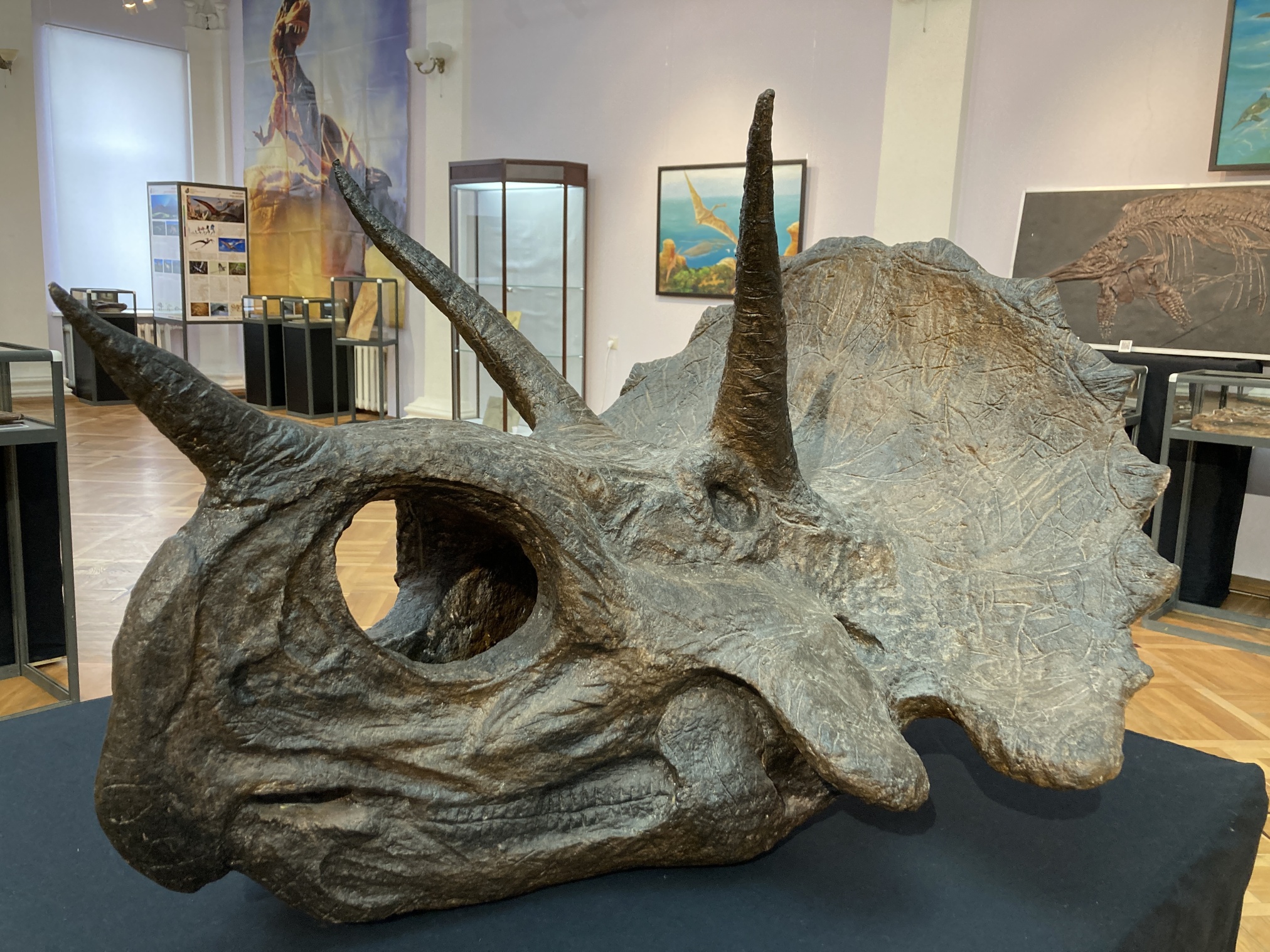 Фрагмент выставки «Древняя жизнь»