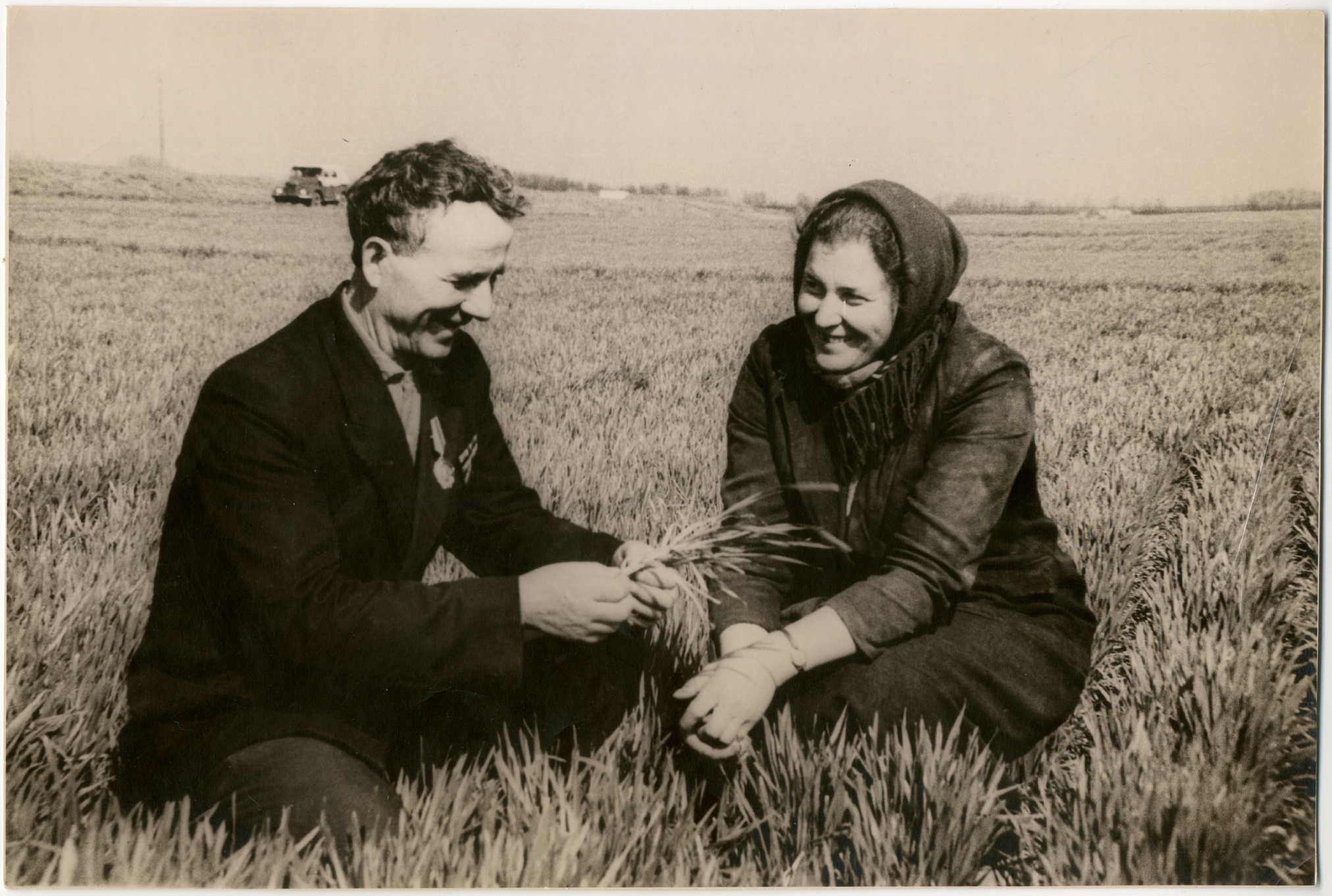 Фотография "На зерновом участке знатного хлебороба Дона Горожаевой Р.Ф.» весна 1969 г.